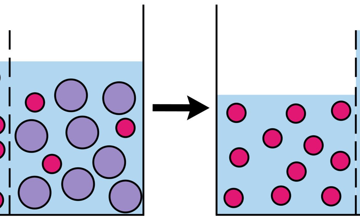 diagramma osmosi