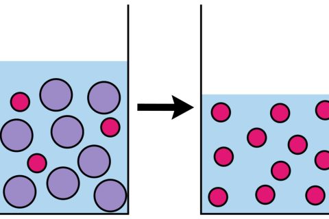 diagramma osmosi