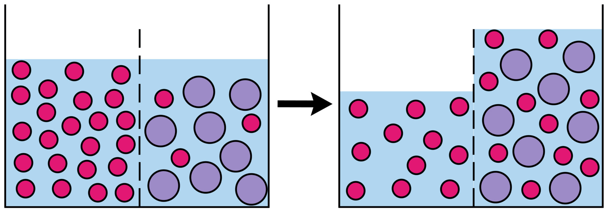 diagramma osmosi